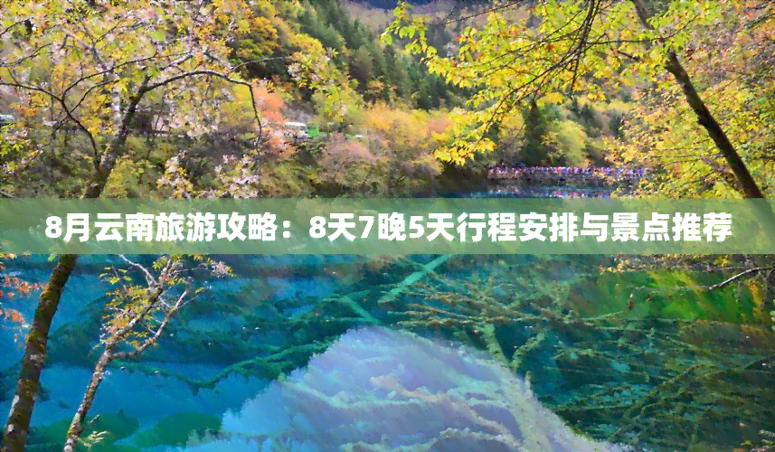 8月云南旅游攻略：8天7晚5天行程安排与景点推荐