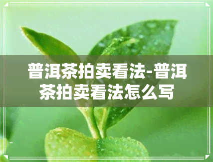 普洱茶拍卖看法-普洱茶拍卖看法怎么写