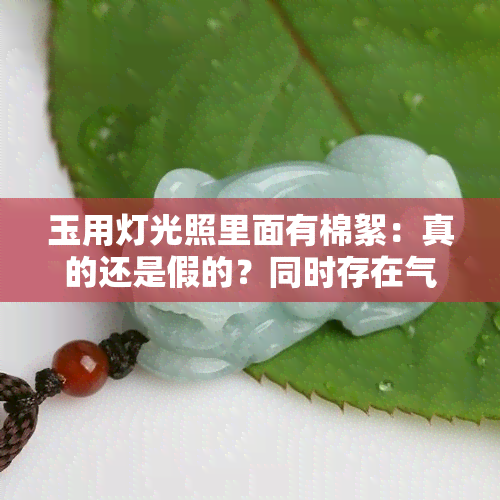 玉用灯光照里面有棉絮：真的还是假的？同时存在气泡是为什么？