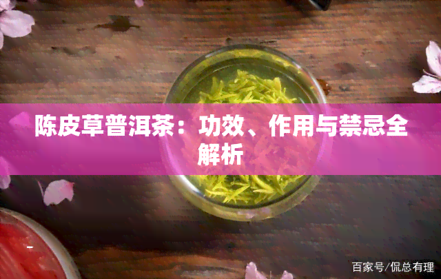 陈皮草普洱茶：功效、作用与禁忌全解析