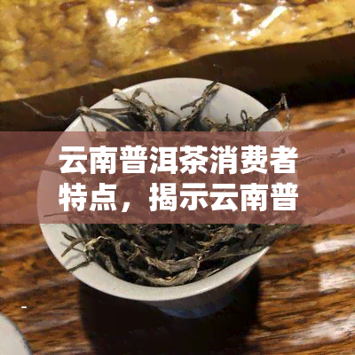 云南普洱茶消费者特点，揭示云南普洱茶消费者的独特品味与消费惯