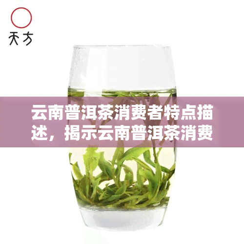 云南普洱茶消费者特点描述，揭示云南普洱茶消费者的独特品味和消费惯