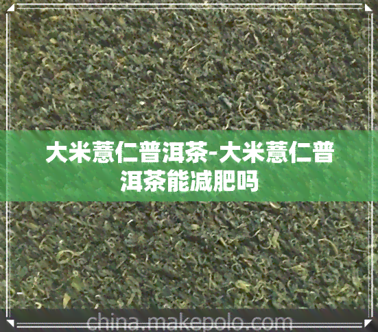 大米薏仁普洱茶-大米薏仁普洱茶能减肥吗