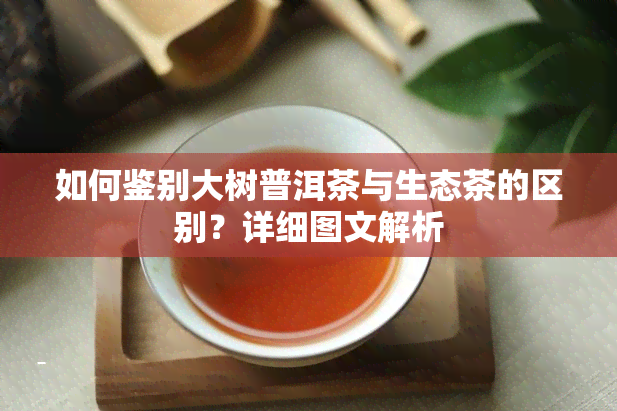 如何鉴别大树普洱茶与生态茶的区别？详细图文解析