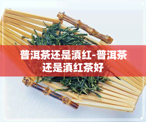 普洱茶还是滇红-普洱茶还是滇红茶好