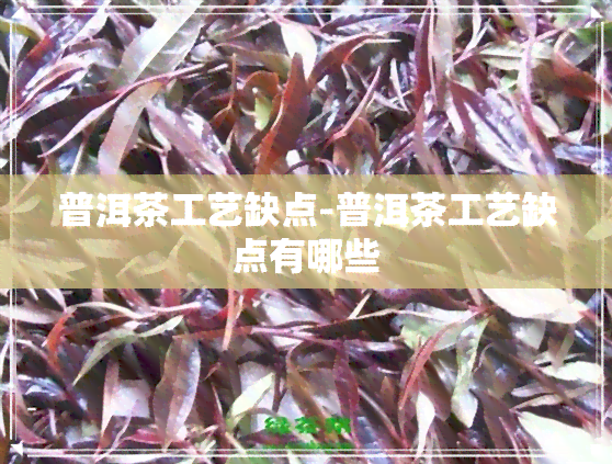 普洱茶工艺缺点-普洱茶工艺缺点有哪些