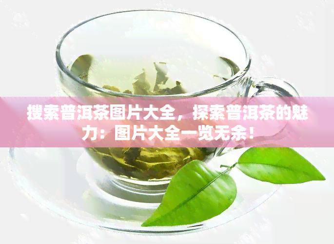 搜索普洱茶图片大全，探索普洱茶的魅力：图片大全一览无余！