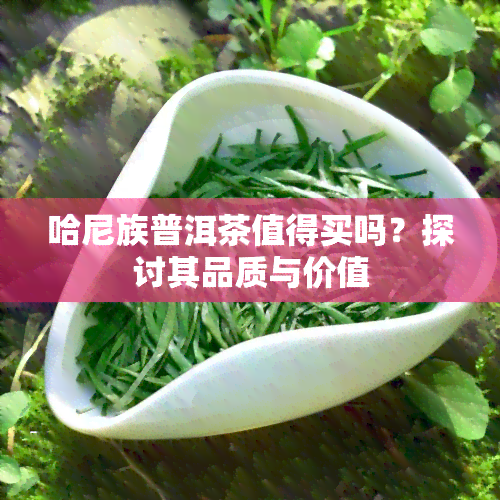 哈尼族普洱茶值得买吗？探讨其品质与价值