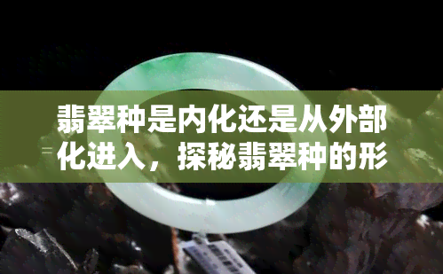 翡翠种是内化还是从外部化进入，探秘翡翠种的形成：内化还是外在因素起决定作用？