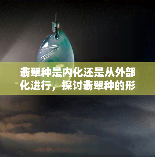 翡翠种是内化还是从外部化进行，探讨翡翠种的形成：内化还是外化？