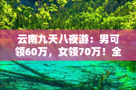 云南九天八夜游：男可领60万，女领70万！全攻略在此！