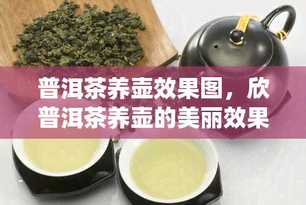 普洱茶养壶效果图，欣普洱茶养壶的美丽效果，感受传统艺术的魅力！