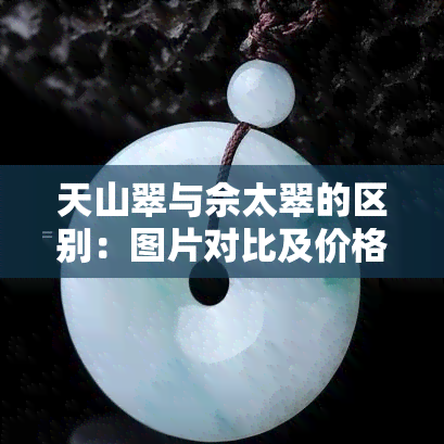 天山翠与佘太翠的区别：图片对比及价格