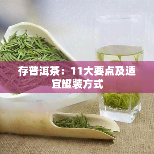 存普洱茶：11大要点及适宜罐装方式