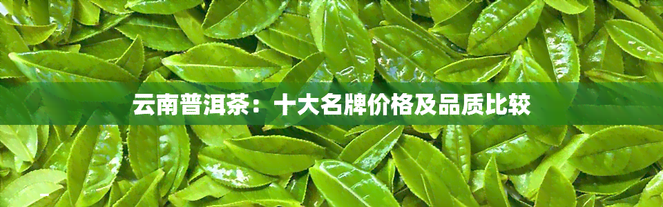 云南普洱茶：十大名牌价格及品质比较