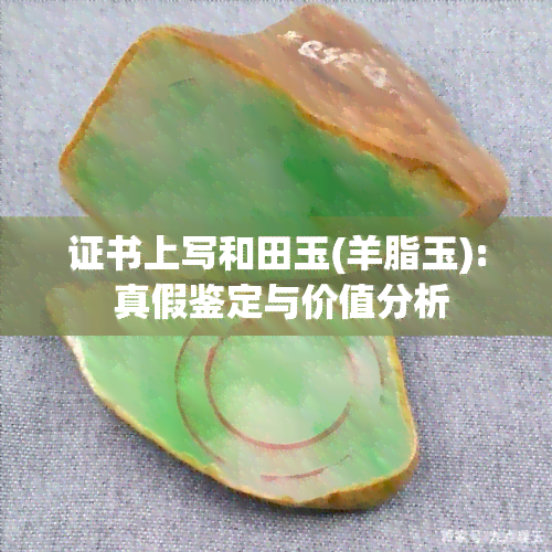 证书上写和田玉(羊脂玉): 真假鉴定与价值分析