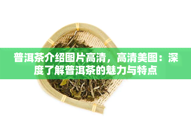 普洱茶介绍图片高清，高清美图：深度了解普洱茶的魅力与特点