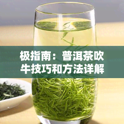 极指南：普洱茶吹牛技巧和方法详解