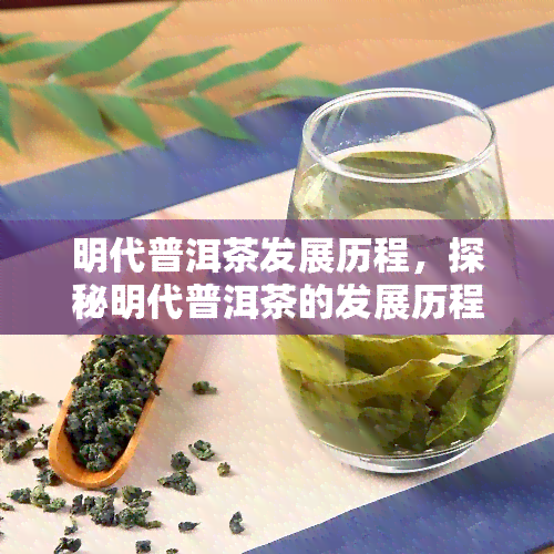 明代普洱茶发展历程，探秘明代普洱茶的发展历程