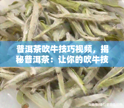 普洱茶吹牛技巧视频，揭秘普洱茶：让你的吹牛技巧更上一层楼！