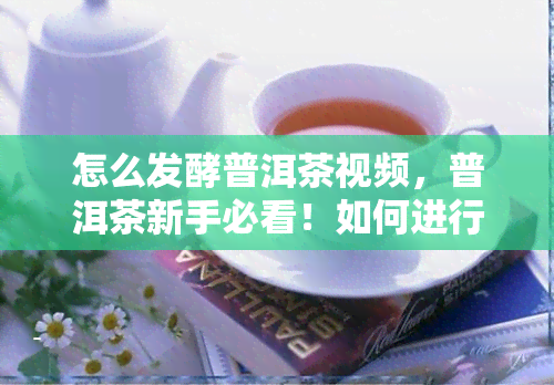 怎么发酵普洱茶视频，普洱茶新手必看！如何进行正确的发酵步骤？视频教程来啦！