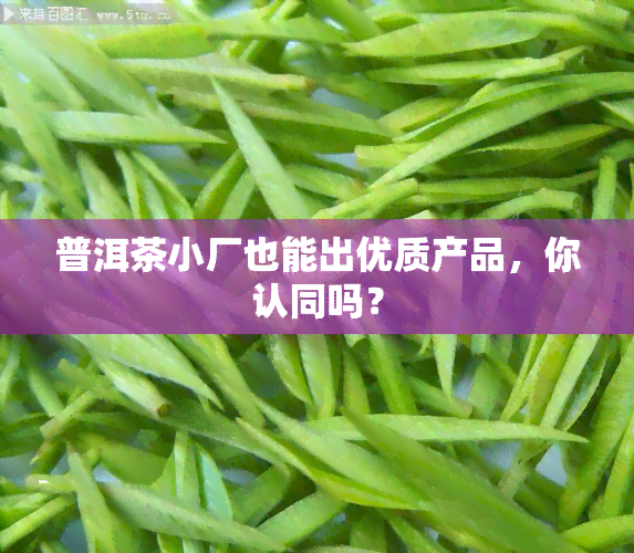 普洱茶小厂也能出优质产品，你认同吗？