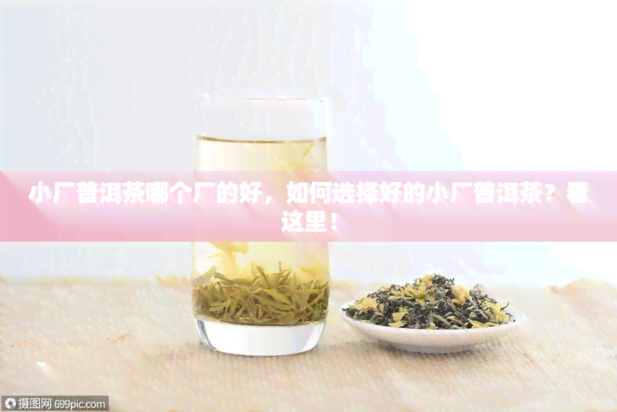 小厂普洱茶哪个厂的好，如何选择好的小厂普洱茶？看这里！