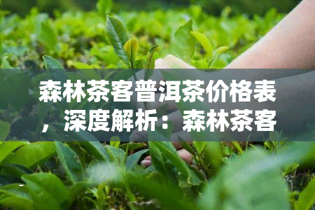 森林茶客普洱茶价格表，深度解析：森林茶客普洱茶价格表，让您了解每款产品的价值