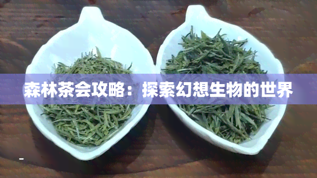 森林茶会攻略：探索幻想生物的世界