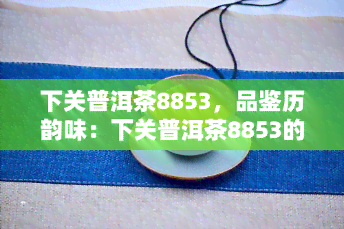 下关普洱茶8853，品鉴历韵味：下关普洱茶8853的独特魅力