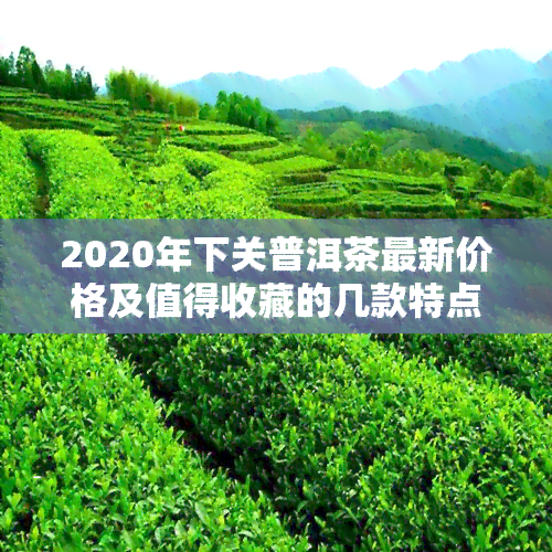 2020年下关普洱茶最新价格及值得收藏的几款特点解析