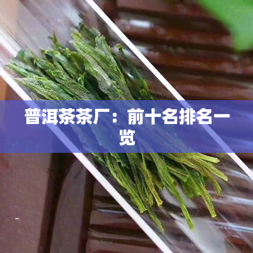 普洱茶茶厂：前十名排名一览