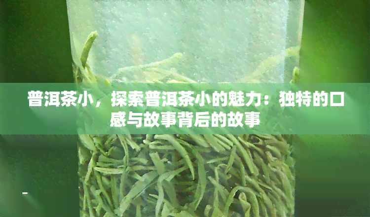 普洱茶小，探索普洱茶小的魅力：独特的口感与故事背后的故事