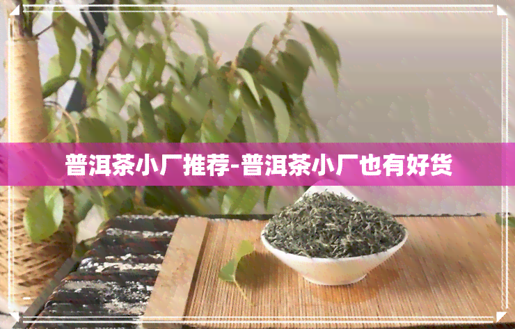 普洱茶小厂推荐-普洱茶小厂也有好货