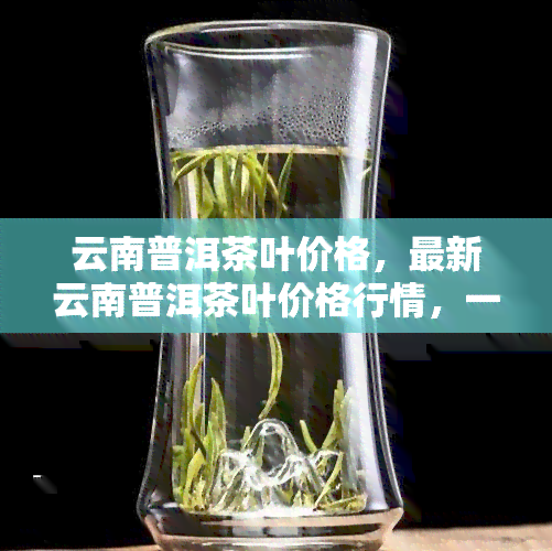 云南普洱茶叶价格，最新云南普洱茶叶价格行情，一网打尽！