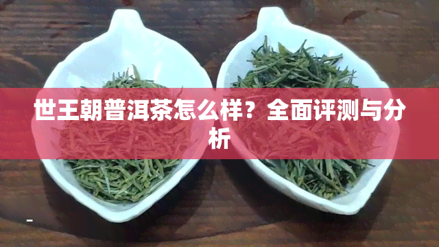 世王朝普洱茶怎么样？全面评测与分析