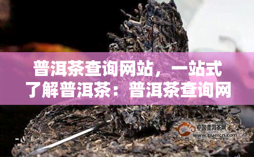 普洱茶查询网站，一站式了解普洱茶：普洱茶查询网站推荐