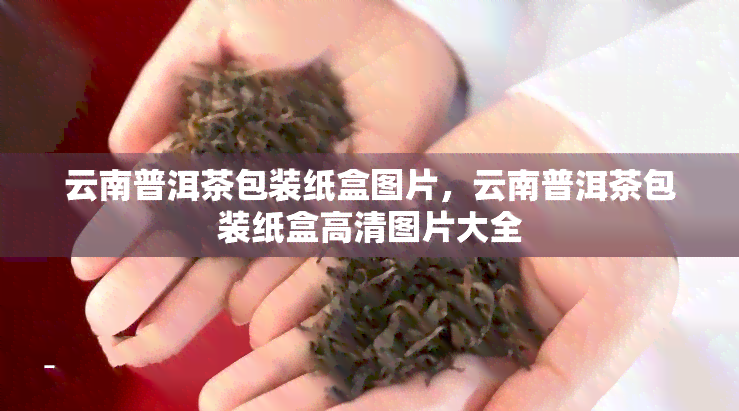 云南普洱茶包装纸盒图片，云南普洱茶包装纸盒高清图片大全