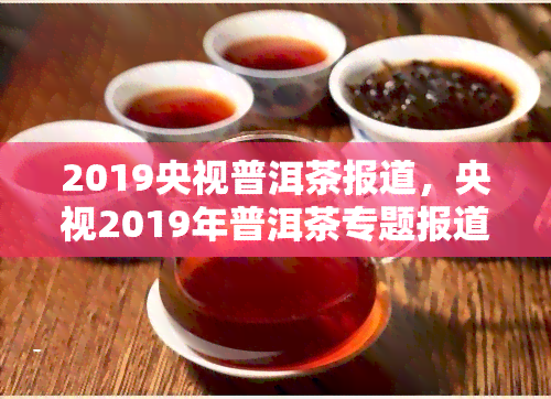 2019央视普洱茶报道，央视2019年普洱茶专题报道：揭示普洱茶的神秘面纱