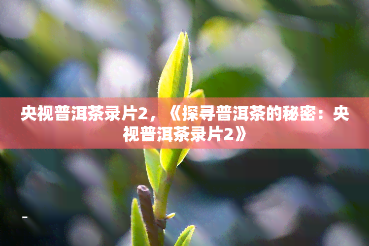 央视普洱茶录片2，《探寻普洱茶的秘密：央视普洱茶录片2》