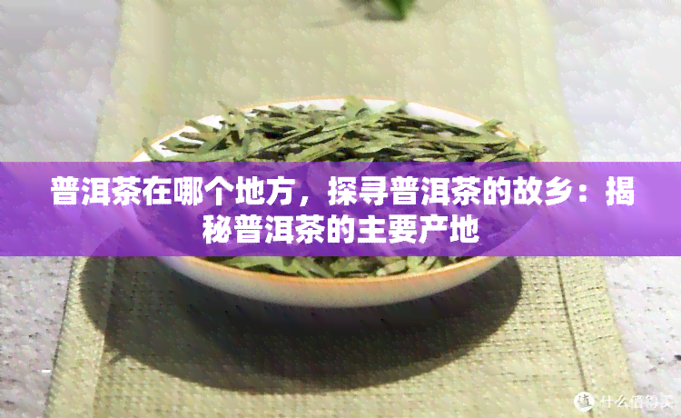 普洱茶在哪个地方，探寻普洱茶的故乡：揭秘普洱茶的主要产地