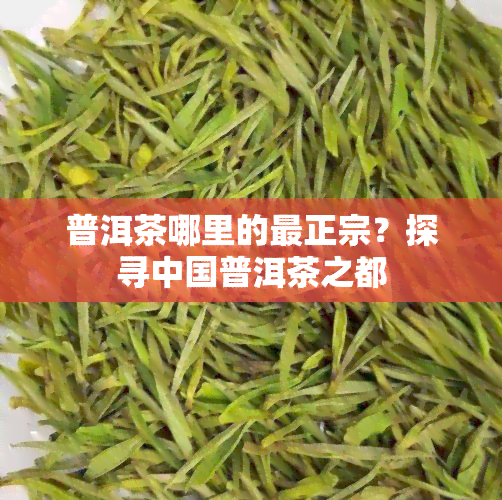 普洱茶哪里的最正宗？探寻中国普洱茶之都