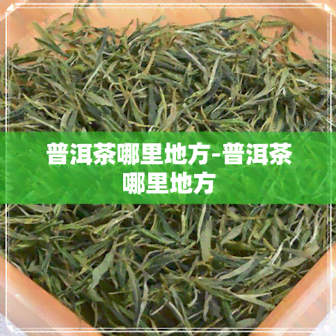 普洱茶哪里地方-普洱茶哪里地方