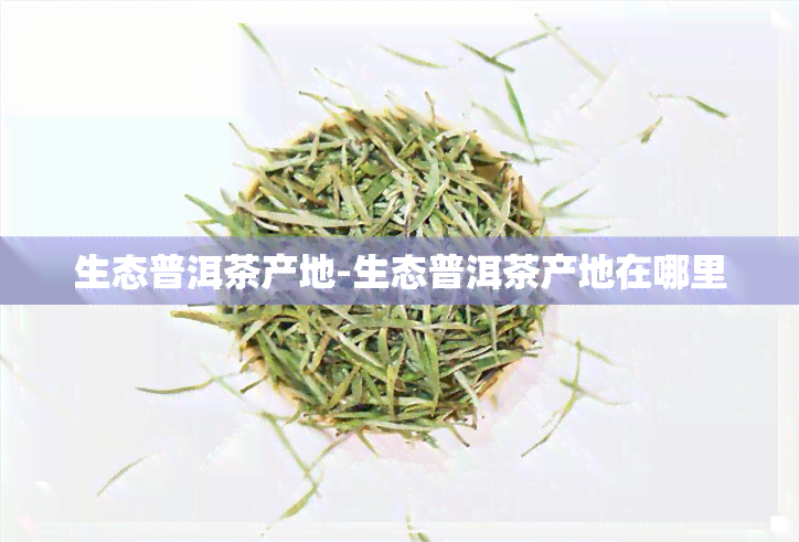 生态普洱茶产地-生态普洱茶产地在哪里