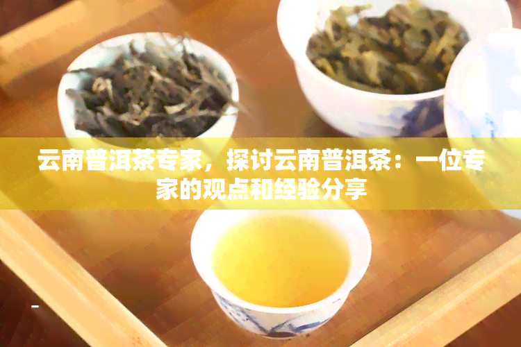 云南普洱茶专家，探讨云南普洱茶：一位专家的观点和经验分享