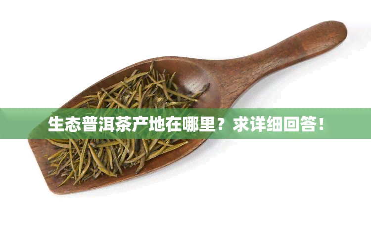 生态普洱茶产地在哪里？求详细回答！