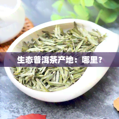 生态普洱茶产地：哪里？