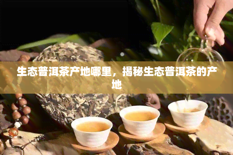 生态普洱茶产地哪里，揭秘生态普洱茶的产地