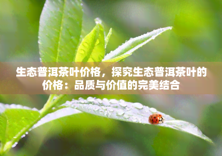 生态普洱茶叶价格，探究生态普洱茶叶的价格：品质与价值的完美结合