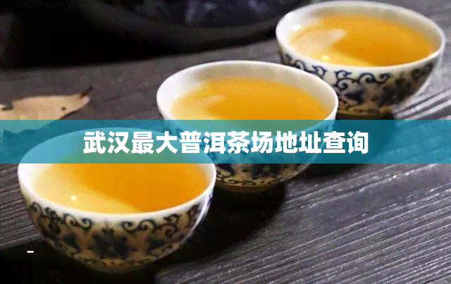 武汉更大普洱茶场地址查询